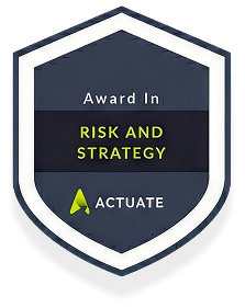 Risk Strategy