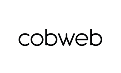 cobweb